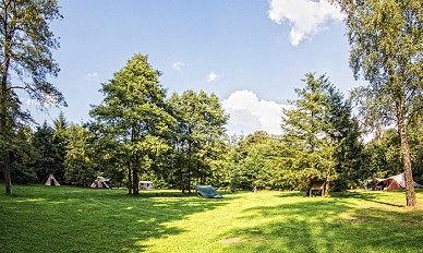 Het grote veld